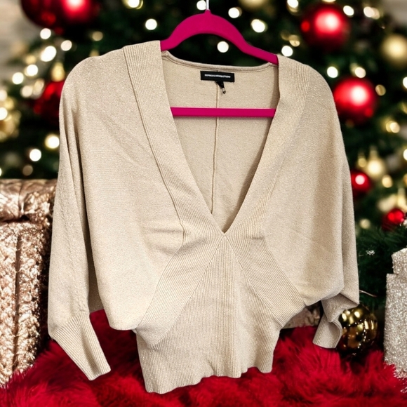 Express Design Studio Gold Metallic Deep V-Neck Sweater - Picture 1 of 12